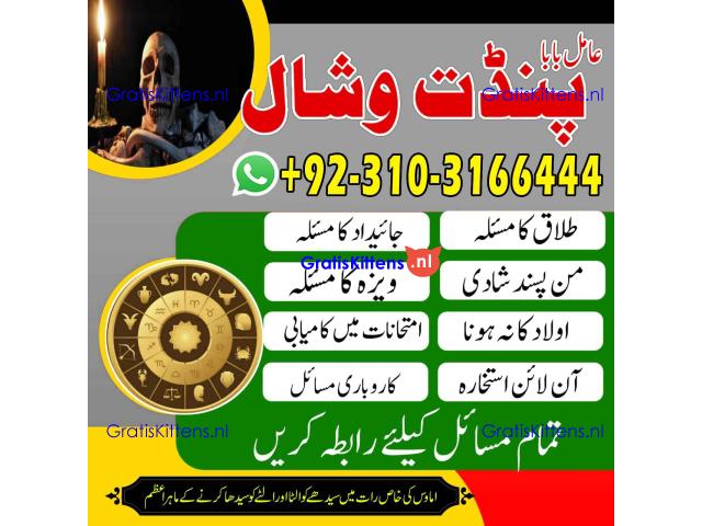 LoveMarriageSolution AmilBabainLondon kalailamktor +923103166444