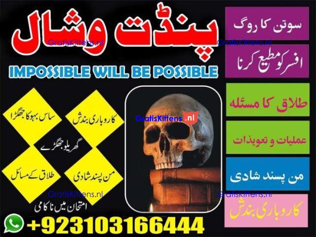 SifliAmilBaba Online jadu AmliyatSpecialist #OnlineIstikhara #AmilForLoveProblem #RohaniHealing