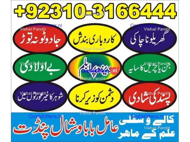 SifliAmilBaba Online jadu AmliyatSpecialist #OnlineIstikhara #AmilForLoveProblem #RohaniHealing