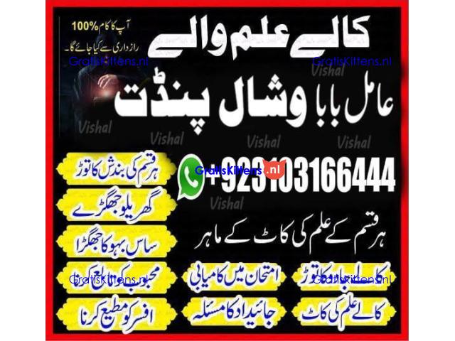 NO 1#AmilBaba #KalaJadu #BlackMagicRemoval #KalaJaduKaTor