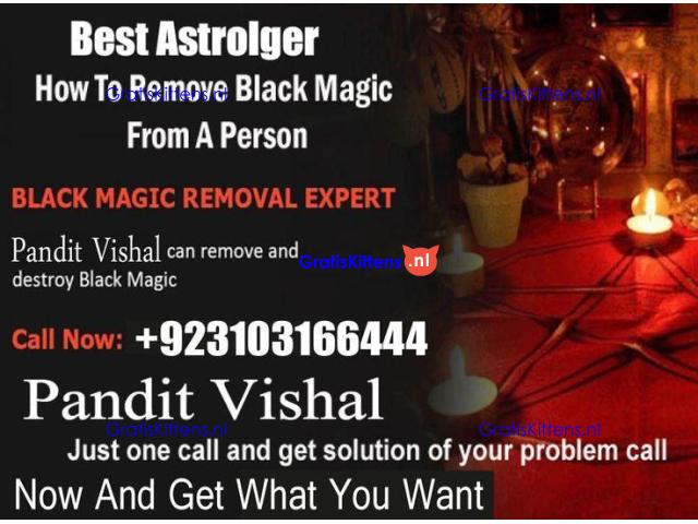 Love marriage problem solutions Amil Baba   Husband–wife disputes