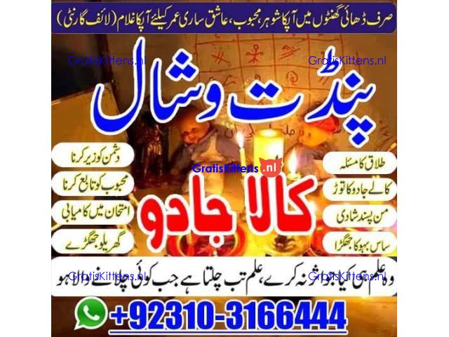 Love marriage problem solutions Amil Baba   Husband–wife disputes