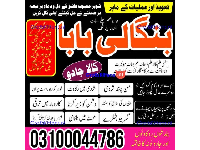 Amil baba in Karachi, Amil baba in Pakistan, amil baba in lahore, amil baba in Islamabad,