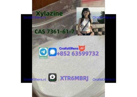 CAS 7361-61-7 Xylazine