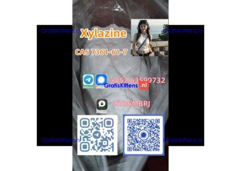 cheapest-price-cas-7361-61-7-xylazine-in-store