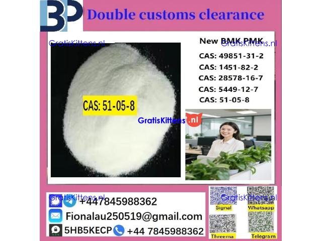 Procaine HCl 99% 51-05-8 Procaine Hydrochloride Powder in Stock