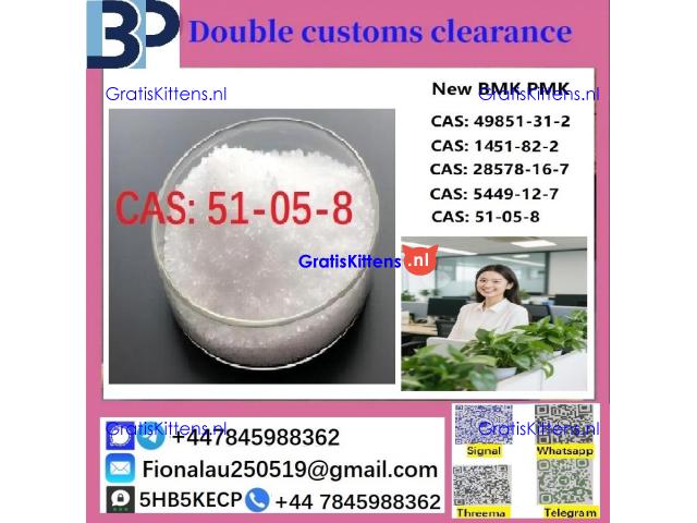 100% hāʻawi palekana Procaine Hydrochloride / Procaine HCl CAS 51-05-8