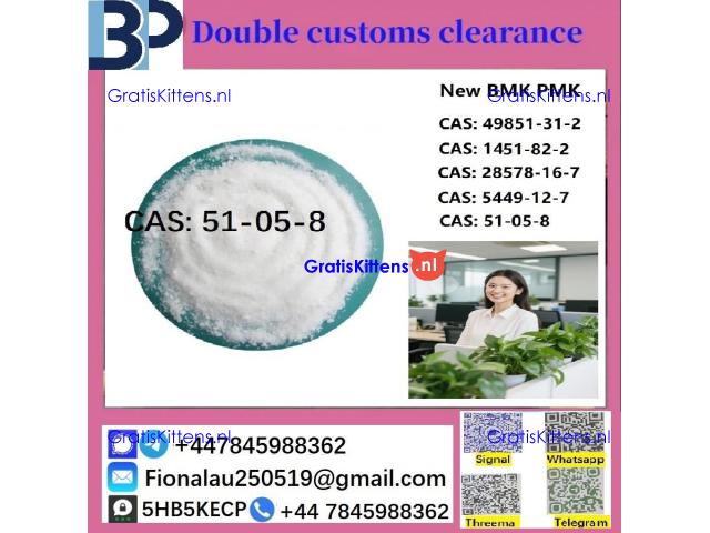 100% hāʻawi palekana Procaine Hydrochloride / Procaine HCl CAS 51-05-8