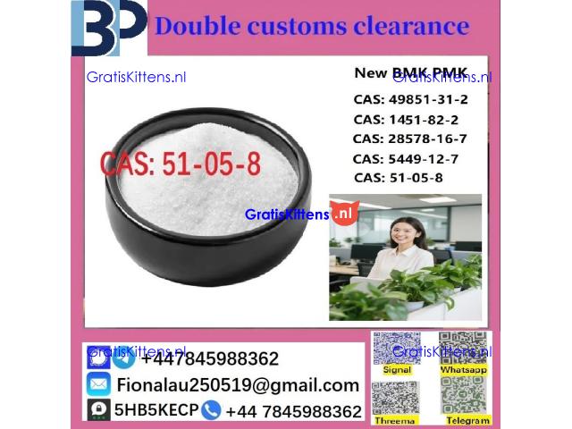 100% hāʻawi palekana Procaine Hydrochloride / Procaine HCl CAS 51-05-8