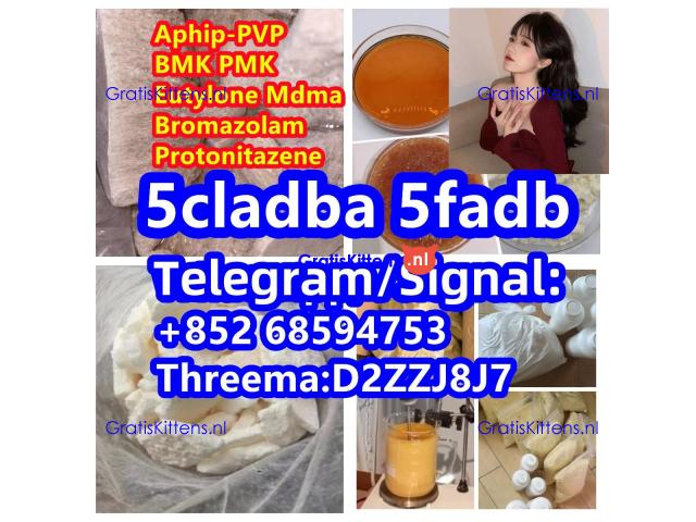 Molly Mdma Eutylone EU white Crystal apvp 5cladba bmk