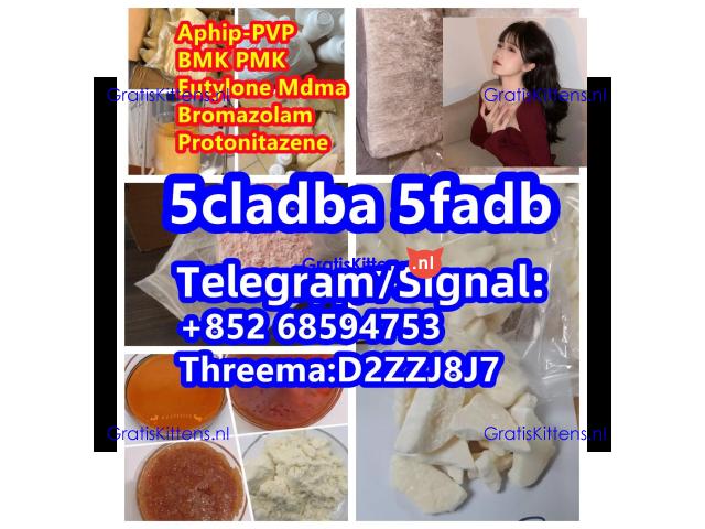 Molly Mdma Eutylone EU white Crystal apvp 5cladba bmk