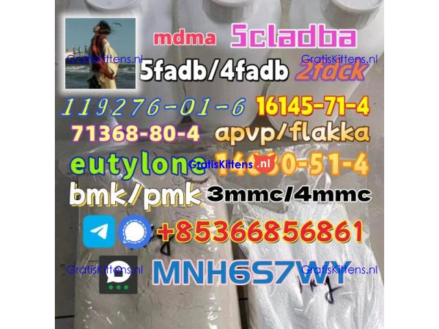 bmk/pmk raw material best-selling