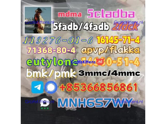 86347-14-0 good quality Medetomidine hot sale