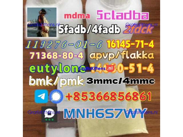 86347-14-0 good quality Medetomidine hot sale