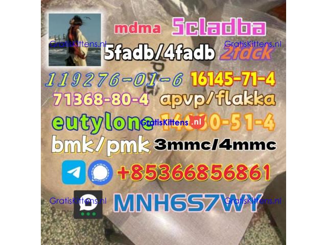 86347-14-0 good quality Medetomidine hot sale
