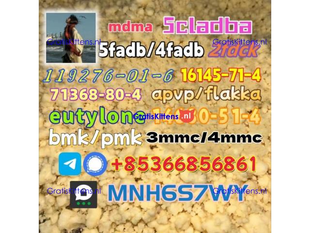 1451-82-7 raw material wholesale affordable price