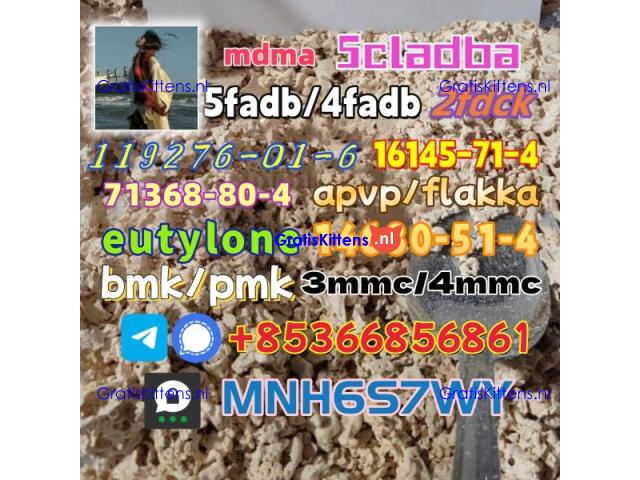 1451-82-7 raw material wholesale affordable price