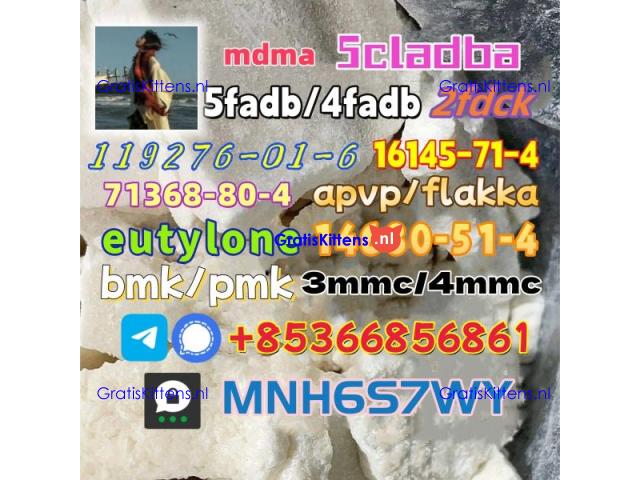 1451-82-7 raw material wholesale affordable price