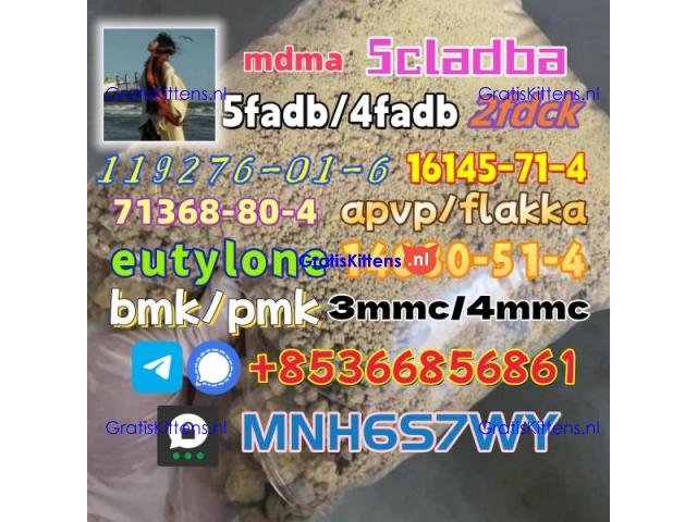 5cladba precursor adbb powder 5fadb raw material supply