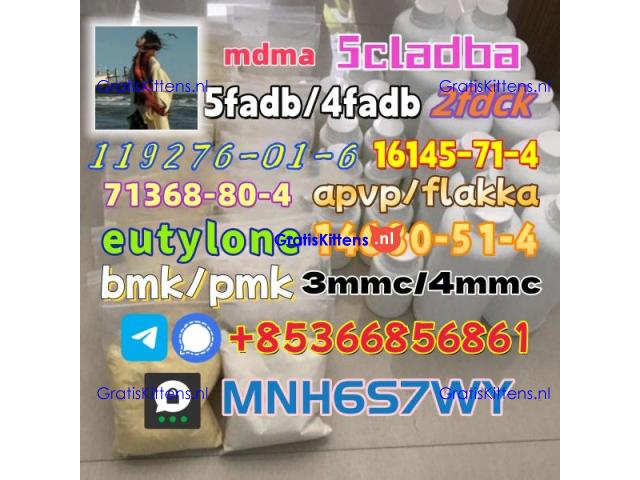 5cladba precursor adbb powder 5fadb raw material supply