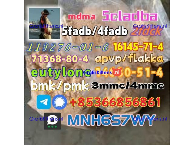 5cladba precursor adbb powder 5fadb raw material supply