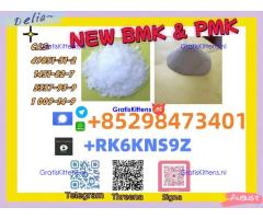 Reliable supply source BMP&PMK 5449-12-7 & 28578-16-7
