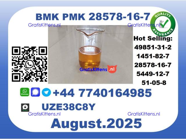 BMK PMK，CAS 28578-16-7-Precision-Sourced for Industry