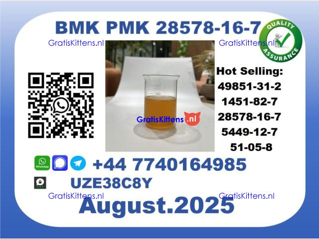 BMK PMK，CAS 28578-16-7-Precision-Sourced for Industry