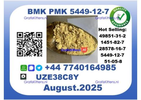 BMK PMK, CAS 5449-12-7-Precision-Sourced for Industry