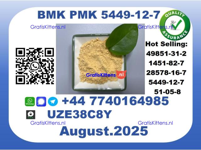 BMK PMK, CAS 5449-12-7-Precision-Sourced for Industry