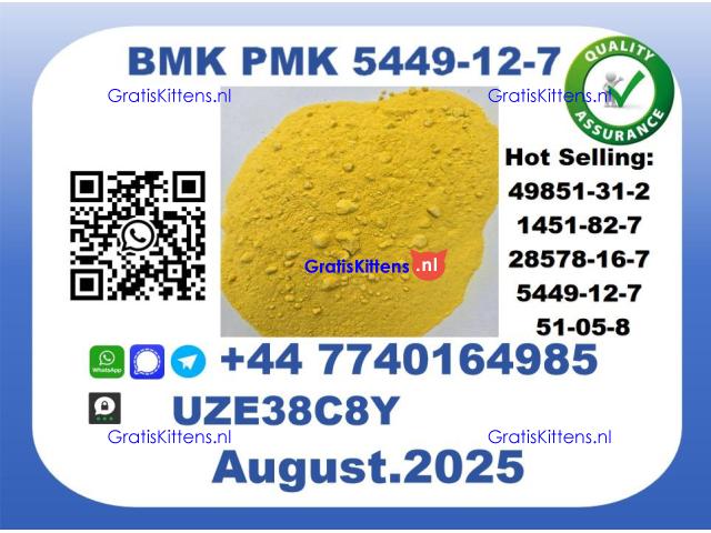 BMK PMK, CAS 5449-12-7-Precision-Sourced for Industry