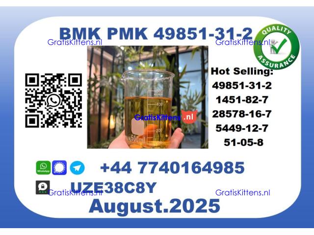 BMK PMK factory，CAS 49851-31-2 worldwide safe&fast delivery