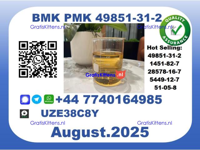 BMK PMK factory，CAS 49851-31-2 worldwide safe&fast delivery