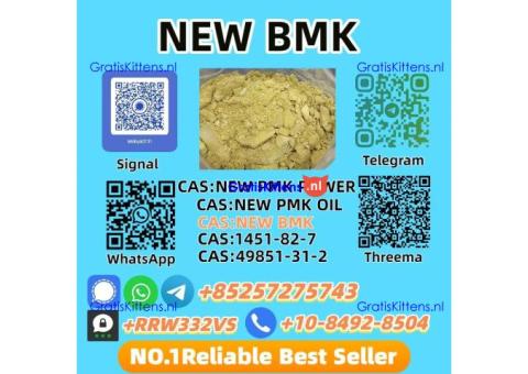 New BMK Powder 5449-12-7 Safe and Secure Delivery