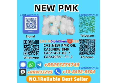 New PMK Power 28578-16-7 High Purity | Bulk Supplier