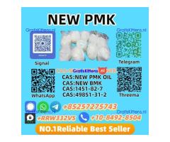New PMK Power 28578-16-7 High Purity | Bulk Supplier