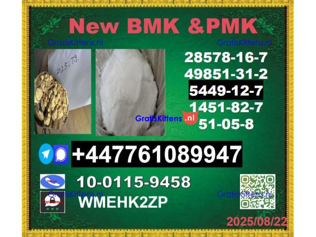 top leader BMK powder 5449-12-7 & PMK oil 28578-16-7