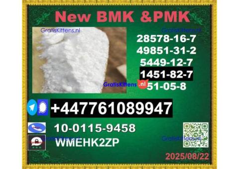 Industrial garde 1451-82-7 BK4/2b4m and 49851-31-2 BVF and 51-05-8 Procaine