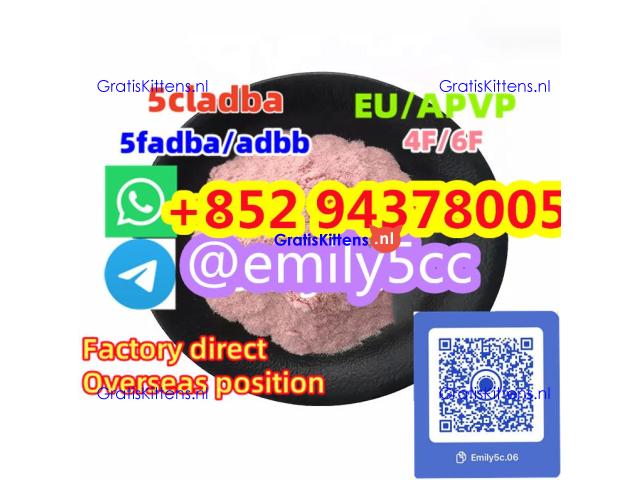 BromazolamCAS:71368-80-4,AlprazolamCAS:28981-97-7,Etizolam CAS:40054-69-1,