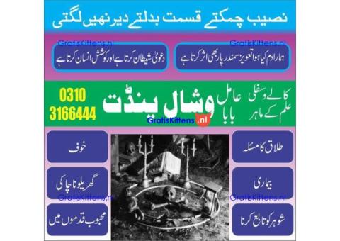 No 1 Amil baba in Canada kalajadu kalailam +923103166444