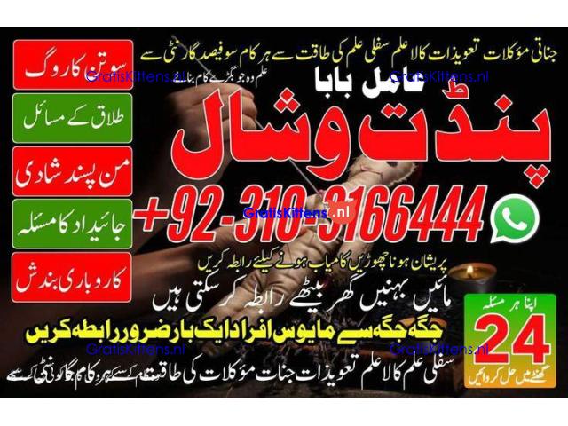 parwafull AmilBaba BlackmagicRemoval AsliAmilBaba in ITLAY