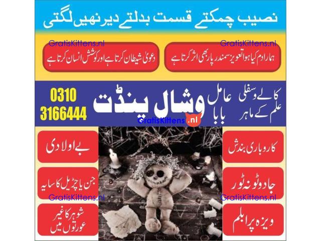 LoveMarriageSolution AmilBabainLondon kalailamktor +923103166444