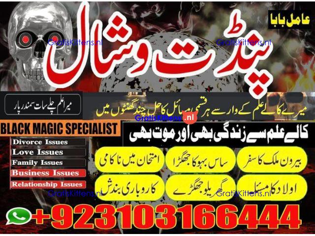 Amil Baba in Canada kalajadu Real AmilBaba +923103166444