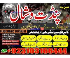 Amil Baba in Canada kalajadu Real AmilBaba +923103166444