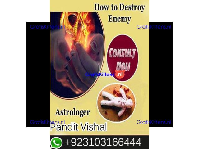 Amil Baba in Canada kalajadu Real AmilBaba +923103166444
