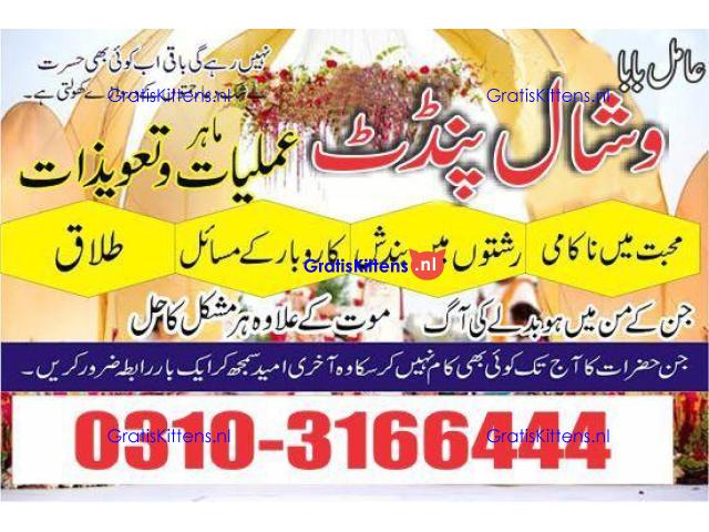 Amil Baba in Canada kalajadu Real AmilBaba +923103166444