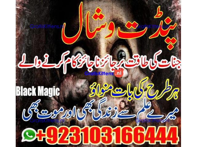 #AmilBabaKatlang #AmilBabaLarkana #AmilBabaMurree
