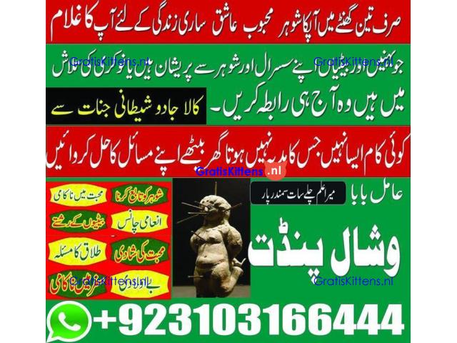 #AmilBabaRawalpindi #AmilBabaMultan #AmilBabaFaisalabad #AmilBabaPeshawar