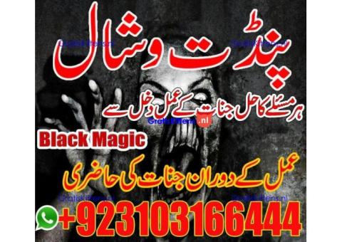 Business problam AmilBaba in USA +923103166444
