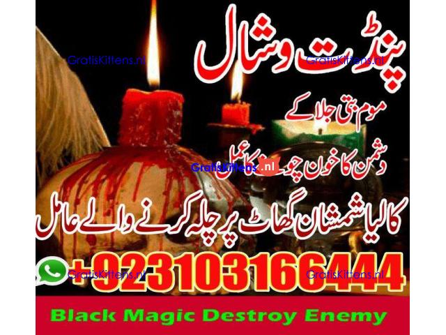 parwafull AmilBaba BlackmagicRemoval AsliAmilBaba in ITLAY
